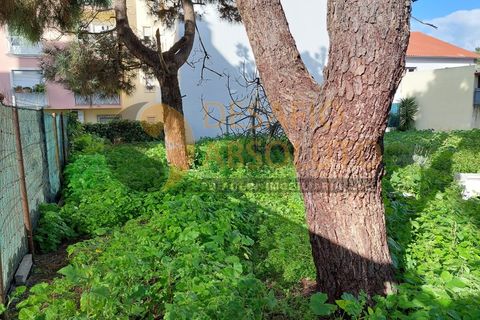 Helårsgrund i Quinta do Conde, Setubal, Quinta do Conde - € 140.000 | Ref: 2957 - foto 6
