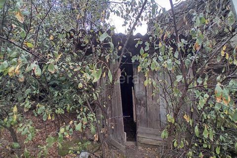 Villa i Castelo Branco, Castelo Branco, Castelo Branco - € 37.500 | Ref: 102240252 - foto 12