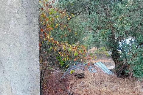 Villa i Castelo Branco, Castelo Branco, Castelo Branco - € 37.500 | Ref: 102240252 - foto 16