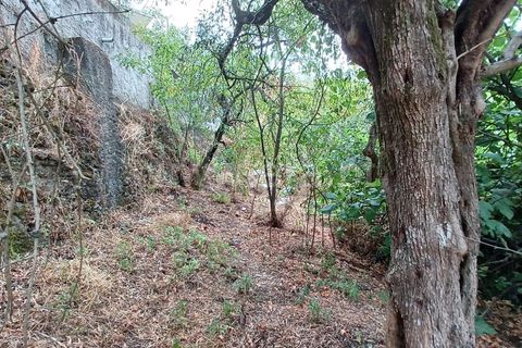 Villa i Castelo Branco, Castelo Branco, Castelo Branco - € 37.500 | Ref: 102240252 - foto 17