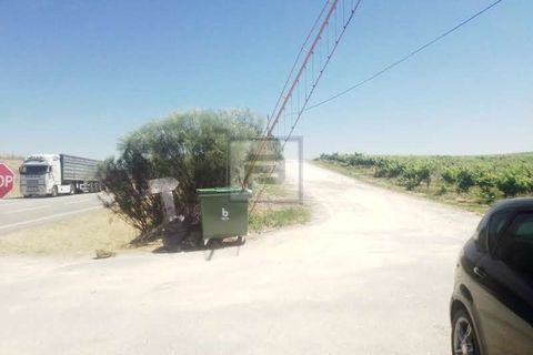 Farm i Borba, Evora, Borba - € 2.750.000 | Ref: FIN_169 - foto 16