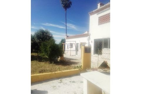 Farm i Borba, Evora, Borba - € 2.750.000 | Ref: FIN_169 - foto 13