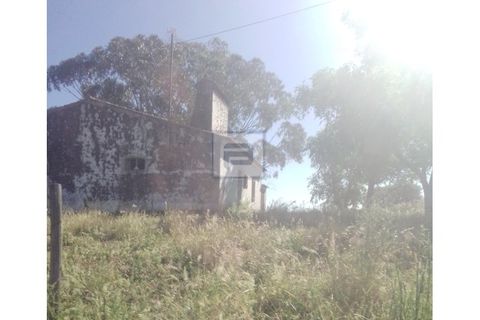 Farm i Borba, Evora, Borba - € 2.750.000 | Ref: FIN_169 - foto 15