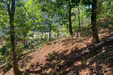 Helårsgrund i Braga, Braga, Braga - € 100.000 | Ref: C0256-03208 - foto 2