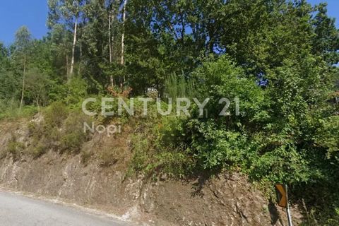 Helårsgrund i Braga, Braga, Braga - € 100.000 | Ref: C0256-03208 - foto 4