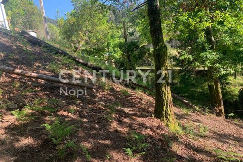 Helårsgrund i Braga, Braga, Braga - € 100.000 | Ref: C0256-03208 - foto 21