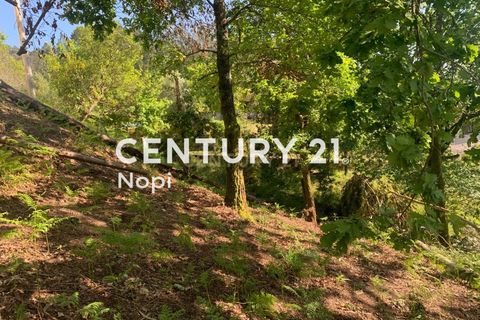 Helårsgrund i Braga, Braga, Braga - € 100.000 | Ref: C0256-03208 - foto 22