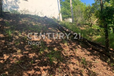 Helårsgrund i Braga, Braga, Braga - € 100.000 | Ref: C0256-03208 - foto 6
