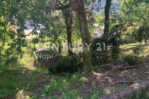 Helårsgrund i Braga, Braga, Braga - € 100.000 | Ref: C0256-03208 - foto 13