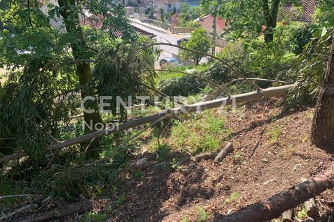 Helårsgrund i Braga, Braga, Braga - € 100.000 | Ref: C0256-03208 - foto 14