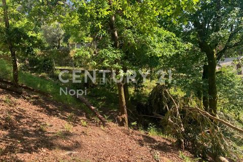 Helårsgrund i Braga, Braga, Braga - € 100.000 | Ref: C0256-03208 - foto 15