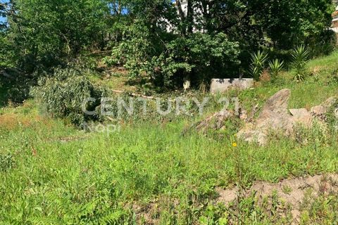 Helårsgrund i Braga, Braga, Braga - € 100.000 | Ref: C0256-03208 - foto 23