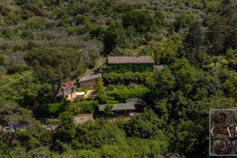 Villa i Cortona, Arezzo, Cortona - € 1.400.000 | Ref: v61652-x - foto 6