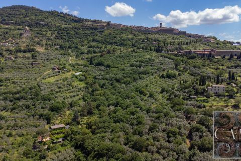 Villa i Cortona, Arezzo, Cortona - € 1.400.000 | Ref: v61652-x - foto 43