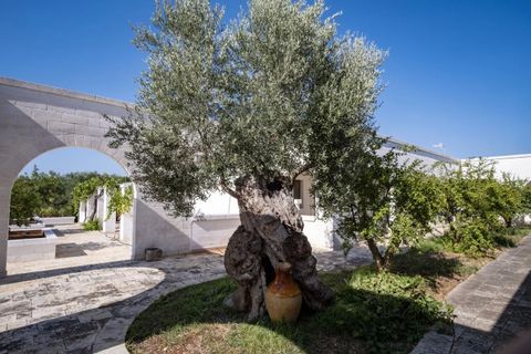 Villa em Ostuni, Brindisi, Ostuni - € 6.500.000 | Ref: V742 - foto 19