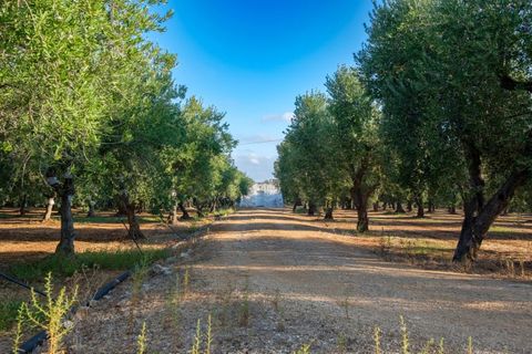 Villa em Ostuni, Brindisi, Ostuni - € 6.500.000 | Ref: V742 - foto 32