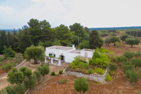 Villa em Ostuni, Brindisi, Ostuni - € 6.500.000 | Ref: V742 - foto 33