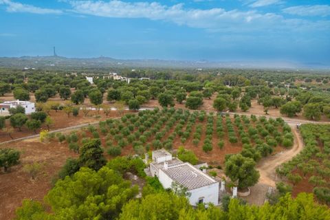 Villa em Ostuni, Brindisi, Ostuni - € 6.500.000 | Ref: V742 - foto 34