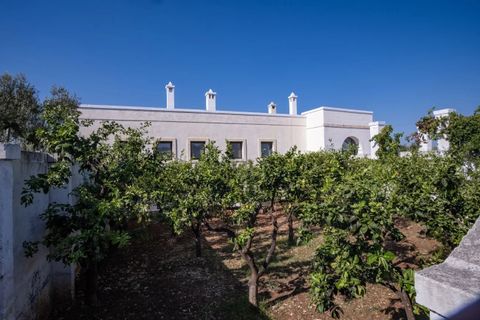 Villa em Ostuni, Brindisi, Ostuni - € 6.500.000 | Ref: V742 - foto 37