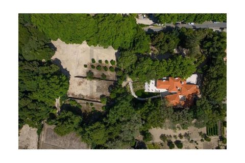 Farm i Sintra, Lisbon, Sintra - € 6.000.000 | Ref: MAS_66 - foto 3