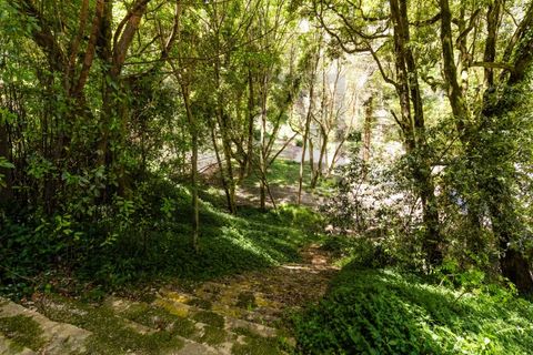 Farm i Sintra, Lisbon, Sintra - € 6.000.000 | Ref: MAS_66 - foto 4