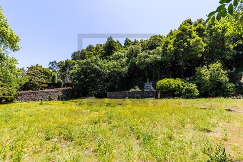 Farm i Sintra, Lisbon, Sintra - € 6.000.000 | Ref: MAS_66 - foto 5