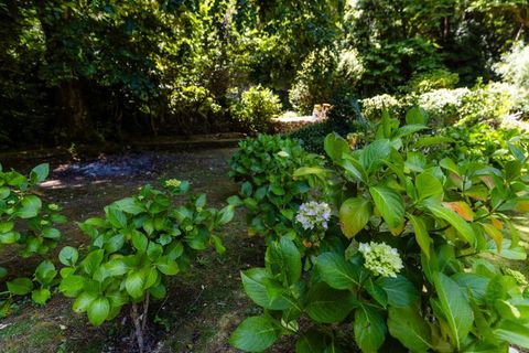 Farm i Sintra, Lisbon, Sintra - € 6.000.000 | Ref: MAS_66 - foto 7