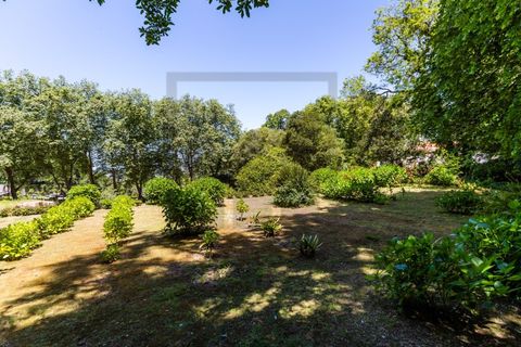 Farm i Sintra, Lisbon, Sintra - € 6.000.000 | Ref: MAS_66 - foto 8