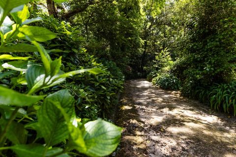 Farm i Sintra, Lisbon, Sintra - € 6.000.000 | Ref: MAS_66 - foto 9