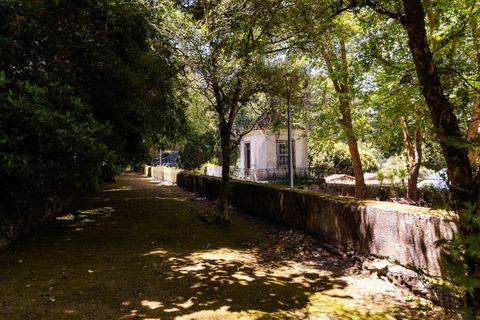 Farm i Sintra, Lisbon, Sintra - € 6.000.000 | Ref: MAS_66 - foto 11