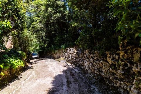Farm i Sintra, Lisbon, Sintra - € 6.000.000 | Ref: MAS_66 - foto 12