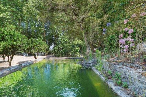 Farm i Sintra, Lisbon, Sintra - € 6.000.000 | Ref: MAS_66 - foto 13