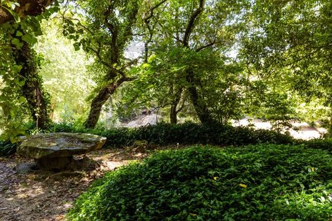 Farm i Sintra, Lisbon, Sintra - € 6.000.000 | Ref: MAS_66 - foto 15