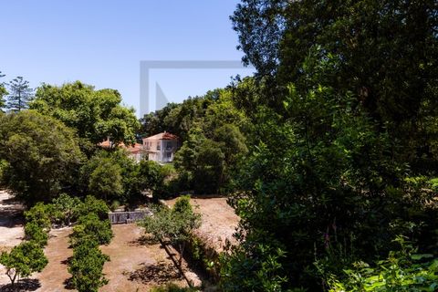 Farm i Sintra, Lisbon, Sintra - € 6.000.000 | Ref: MAS_66 - foto 16
