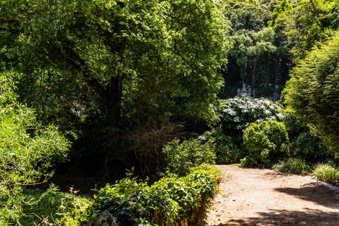 Farm i Sintra, Lisbon, Sintra - € 6.000.000 | Ref: MAS_66 - foto 17