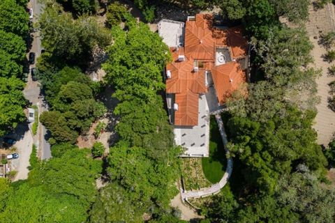 Farm i Sintra, Lisbon, Sintra - € 6.000.000 | Ref: MAS_66 - foto 18