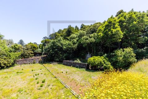 Farm i Sintra, Lisbon, Sintra - € 6.000.000 | Ref: MAS_66 - foto 19