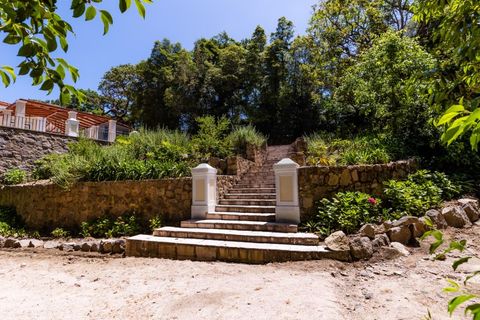 Farm i Sintra, Lisbon, Sintra - € 6.000.000 | Ref: MAS_66 - foto 20