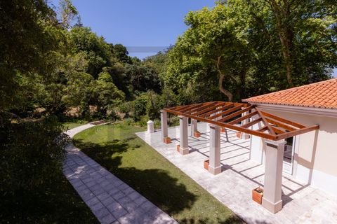 Farm i Sintra, Lisbon, Sintra - € 6.000.000 | Ref: MAS_66 - foto 21