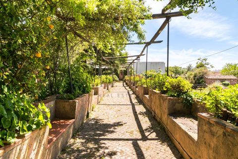 Granja a Lisbon, Lisbon, Lisbon - € 6.000.000 | Ref: 8569 - foto 27
