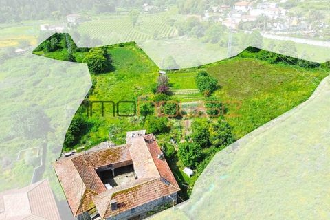 Farm i Paredes, Porto, Paredes - € 300.000 | Ref: 00667FR - foto 3