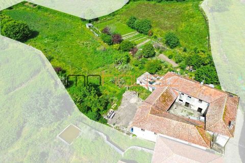 Farm i Paredes, Porto, Paredes - € 300.000 | Ref: 00667FR - foto 4