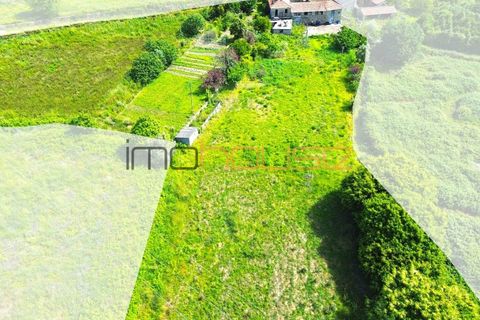 Farm i Paredes, Porto, Paredes - € 300.000 | Ref: 00667FR - foto 5