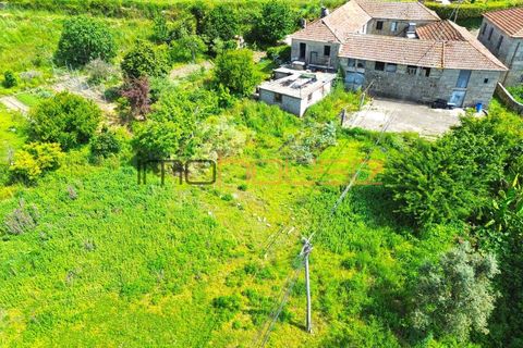 Farm i Paredes, Porto, Paredes - € 300.000 | Ref: 00667FR - foto 6