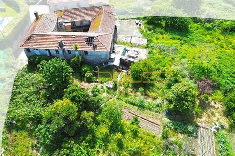 Farm i Paredes, Porto, Paredes - € 300.000 | Ref: 00667FR - foto 8