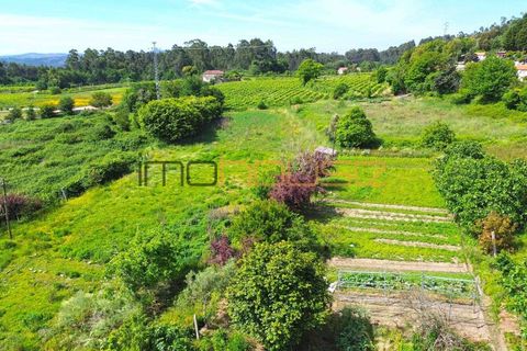 Farm i Paredes, Porto, Paredes - € 300.000 | Ref: 00667FR - foto 15