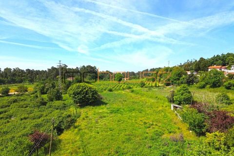 Farm i Paredes, Porto, Paredes - € 300.000 | Ref: 00667FR - foto 16