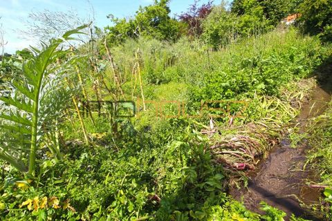 Farm i Paredes, Porto, Paredes - € 300.000 | Ref: 00667FR - foto 17