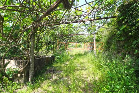 Farm i Paredes, Porto, Paredes - € 300.000 | Ref: 00667FR - foto 18