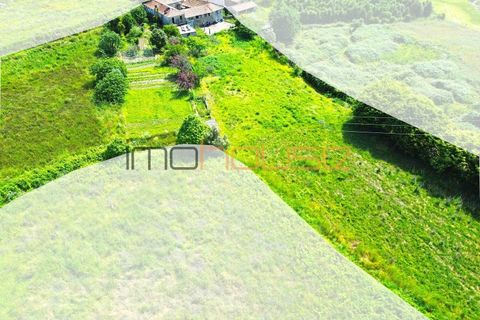 Farm i Paredes, Porto, Paredes - € 300.000 | Ref: 00667FR - foto 19